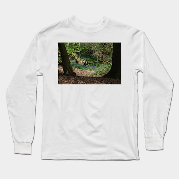 Hint of Bluebell Long Sleeve T-Shirt by RichardGibb